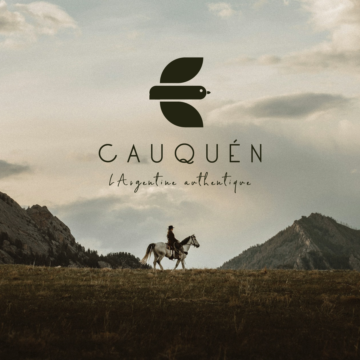 Identité visuelle Cauquéen marque éthique identité visuelle marque éthique