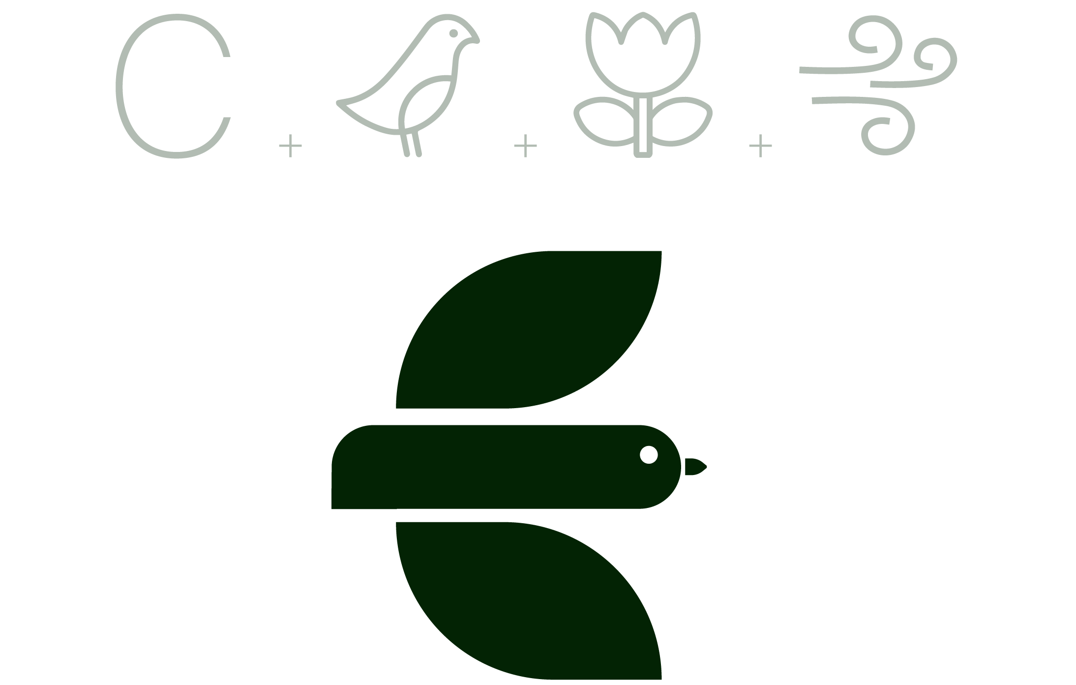 Identité visuelle Cauquen