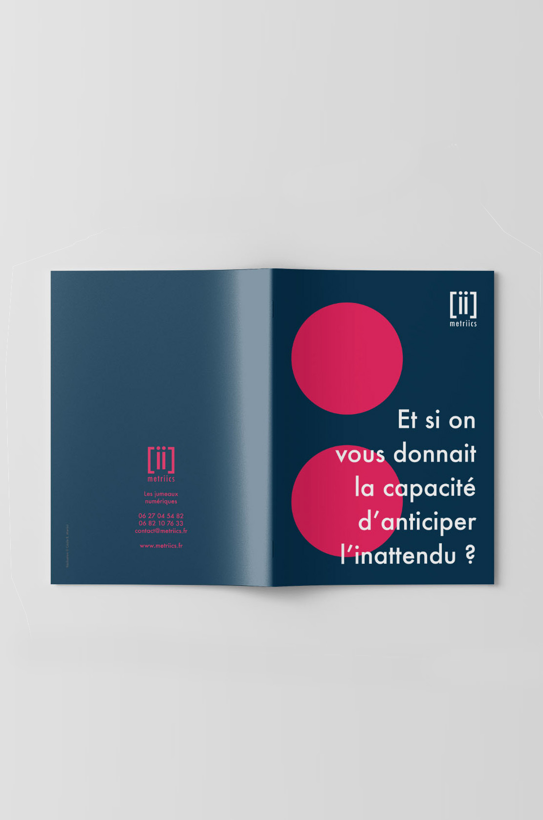 charte graphique Metriics numérique