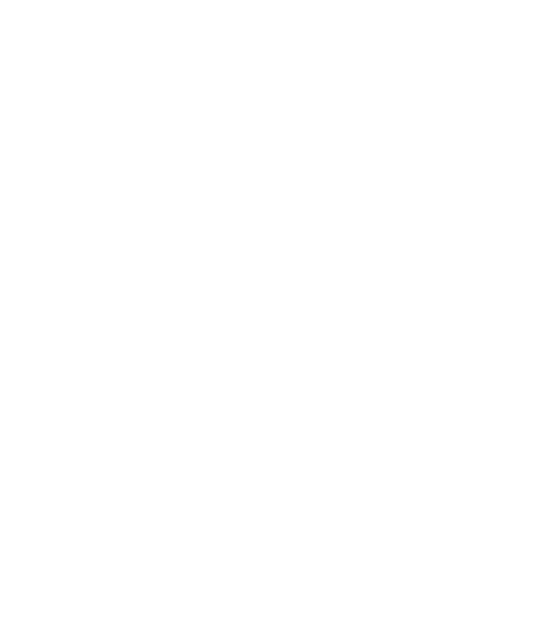 charte graphique Metriics numérique